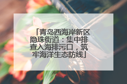 青岛西海岸新区隐珠街道：集中排查入海排污口，筑牢海洋生态防线