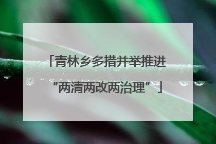青林乡多措并举推进“两清两改两治理”