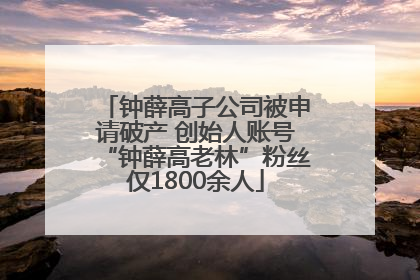 钟薛高子公司被申请破产 创始人账号“钟薛高老林”粉丝仅1800余人