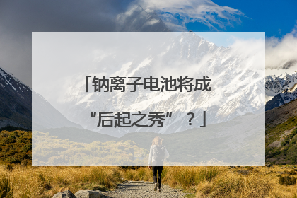 钠离子电池将成“后起之秀”？
