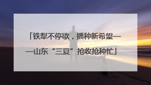 铁犁不停歇，播种新希望——山东“三夏”抢收抢种忙