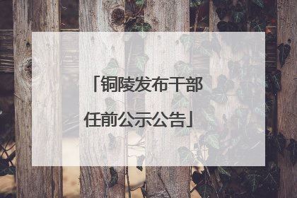 铜陵发布干部任前公示公告