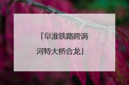 阜淮铁路跨涡河特大桥合龙