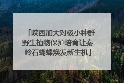 陕西加大对极小种群野生植物保护培育让秦岭石蝴蝶焕发新生机