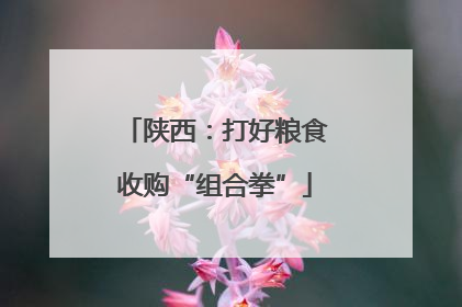 陕西：打好粮食收购“组合拳”
