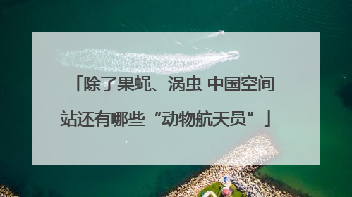 除了果蝇、涡虫 中国空间站还有哪些“动物航天员”
