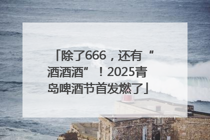 除了666，还有“酒酒酒”！2025青岛啤酒节首发燃了