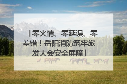 零火情、零延误、零差错！岳阳消防筑牢旅发大会安全屏障