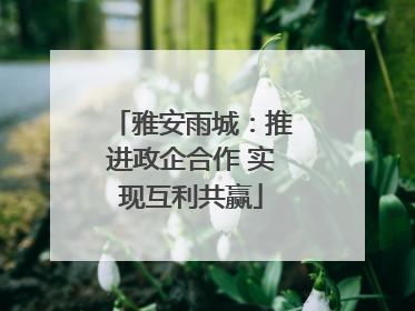 雅安雨城：推进政企合作 实现互利共赢