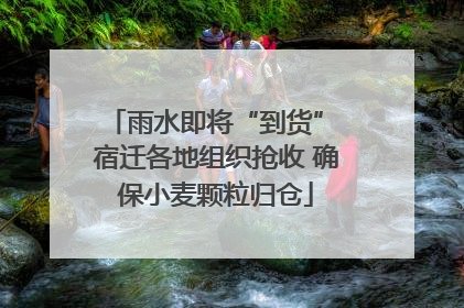 雨水即将“到货” 宿迁各地组织抢收 确保小麦颗粒归仓