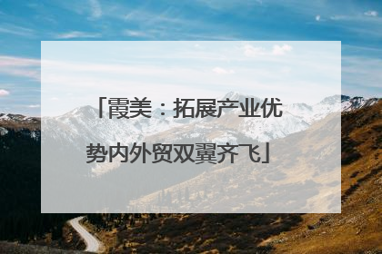 霞美：拓展产业优势内外贸双翼齐飞