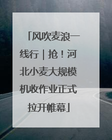 风吹麦浪一线行｜抢！河北小麦大规模机收作业正式拉开帷幕