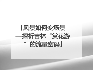 风景如何变场景——探析吉林“赏花游”的流量密码