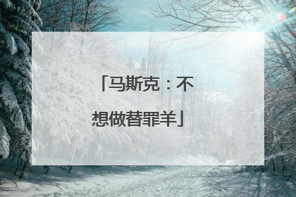 马斯克：不想做替罪羊