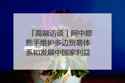 高端访谈｜阿中愿携手维护多边贸易体系和发展中国家利益——访阿拉伯议会议长亚马希