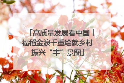 高质量发展看中国丨福稻金浪千重绘就乡村振兴“丰”景图