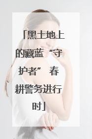 黑土地上的藏蓝“守护者” 春耕警务进行时