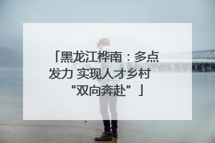 黑龙江桦南：多点发力 实现人才乡村“双向奔赴”