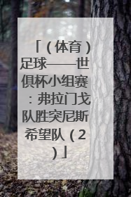 （体育）足球——世俱杯小组赛：弗拉门戈队胜突尼斯希望队（2）