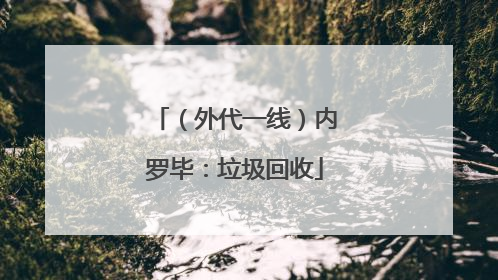 （外代一线）内罗毕：垃圾回收