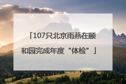 107只北京雨燕在颐和园完成年度“体检”