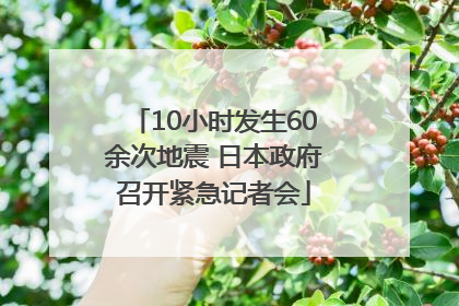 10小时发生60余次地震 日本政府召开紧急记者会