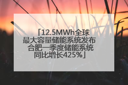 12.5MWh全球最大容量储能系统发布 合肥一季度储能系统同比增长425%