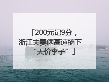200元记9分，浙江夫妻俩高速摘下“天价李子”
