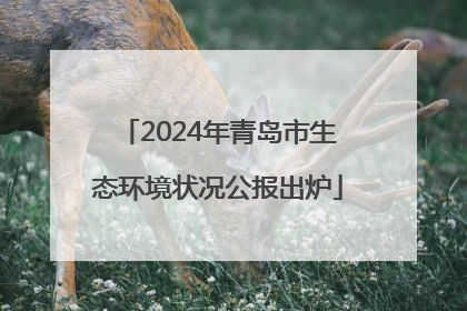2024年青岛市生态环境状况公报出炉