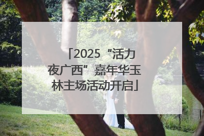 2025“活力夜广西”嘉年华玉林主场活动开启