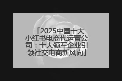2025中国十大小红书电商代运营公司：十大领军企业引领社交电商新风向