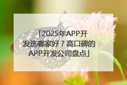2025年APP开发选哪家好？高口碑的APP开发公司盘点