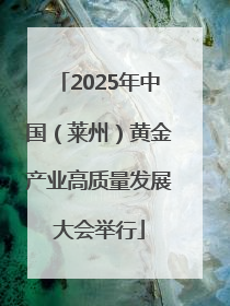 2025年中国（莱州）黄金产业高质量发展大会举行