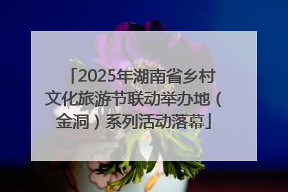 2025年湖南省乡村文化旅游节联动举办地（金洞）系列活动落幕