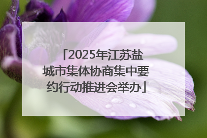 2025年江苏盐城市集体协商集中要约行动推进会举办