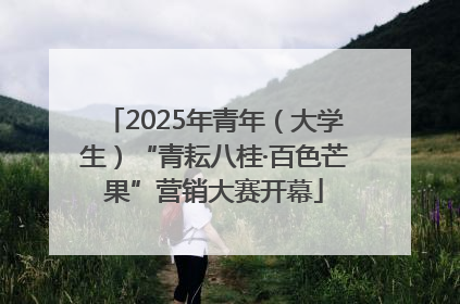 2025年青年（大学生）“青耘八桂·百色芒果”营销大赛开幕