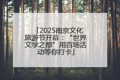 2025南京文化旅游节开幕：“世界文学之都”用百场活动等你打卡