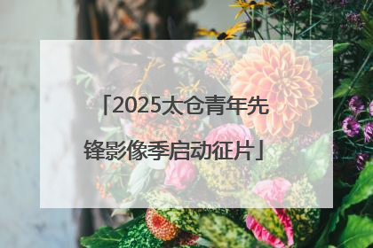 2025太仓青年先锋影像季启动征片