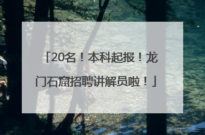 20名！本科起报！龙门石窟招聘讲解员啦！