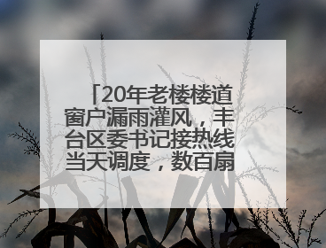 20年老楼楼道窗户漏雨灌风，丰台区委书记接热线当天调度，数百扇老式铁窗将换新