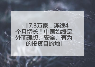7.3万家，连续4个月增长！中国始终是外商理想、安全、有为的投资目的地