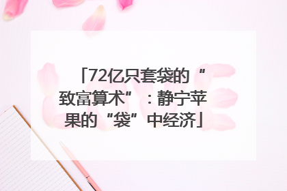 72亿只套袋的“致富算术”：静宁苹果的“袋”中经济