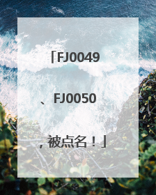 FJ0049、FJ0050，被点名！
