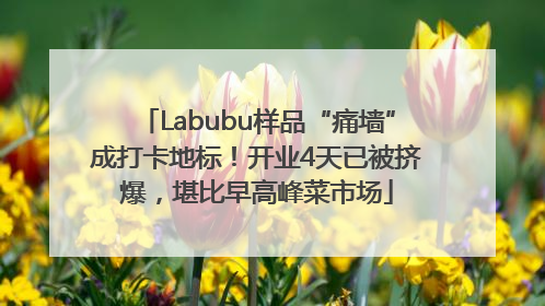 Labubu样品“痛墙”成打卡地标！开业4天已被挤爆，堪比早高峰菜市场